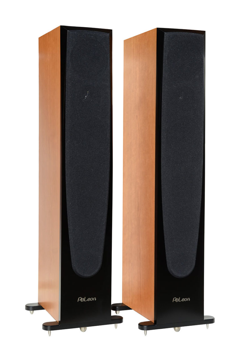 Thesis pierre etienne leon 07 image