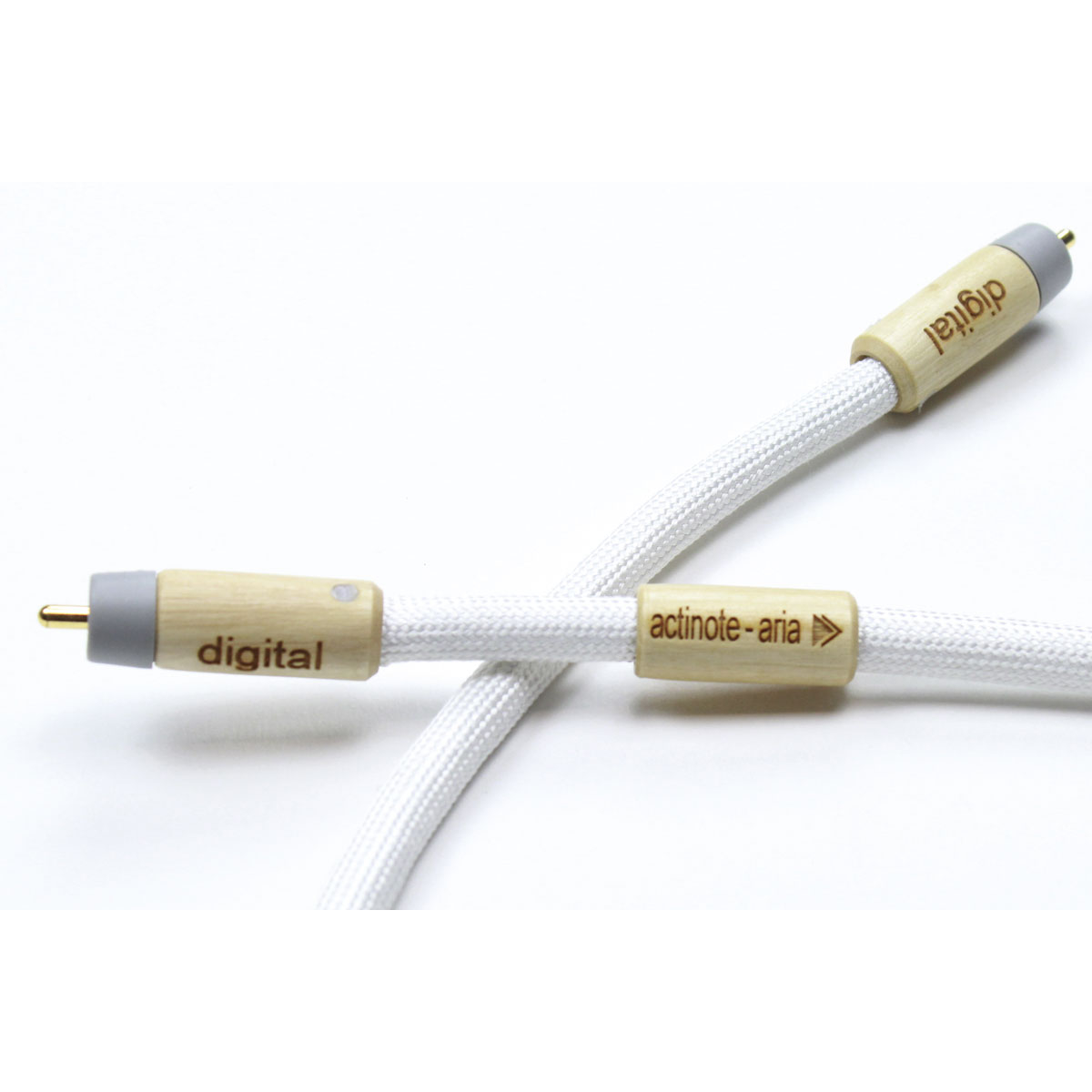 Actinote Aria COAX83