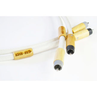 Actinote Aria RCA83