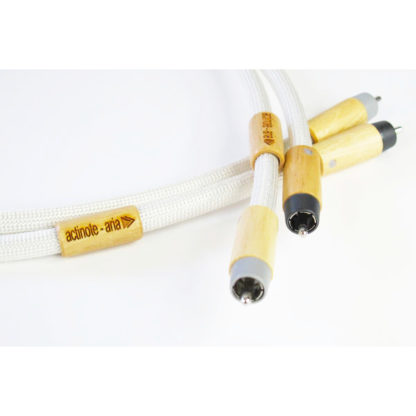 Actinote Aria RCA83